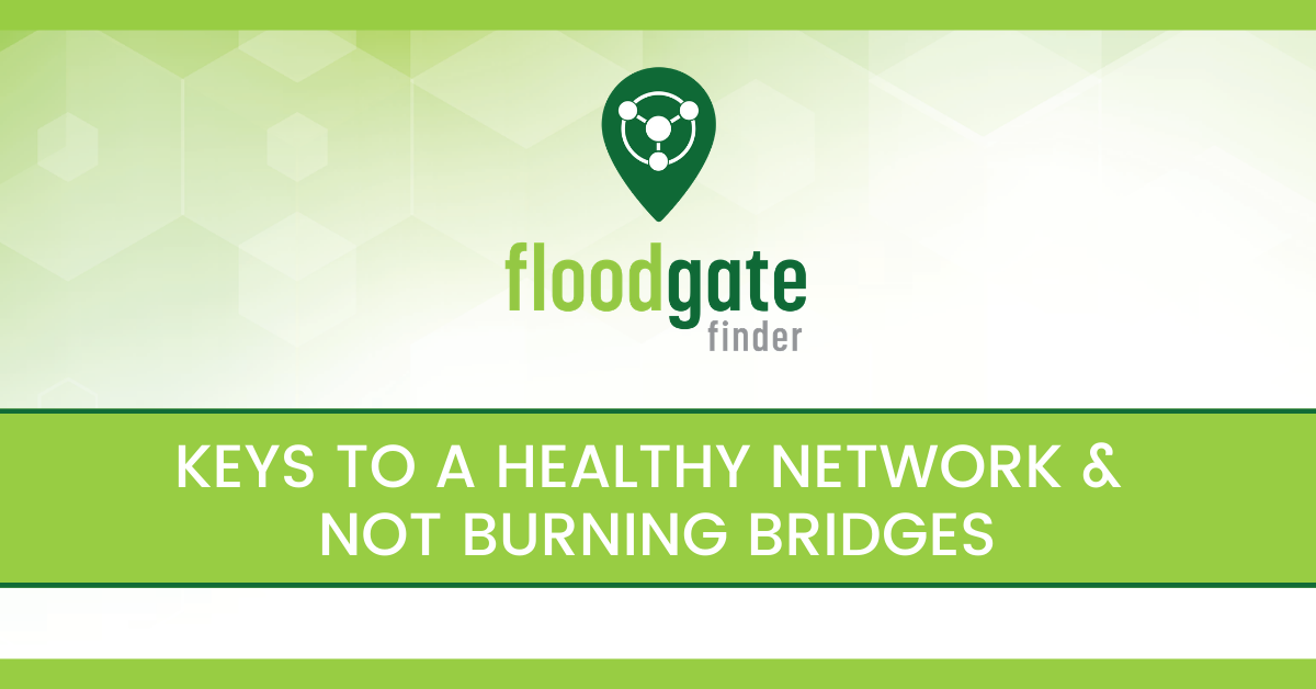 Healthy Network and building bridges