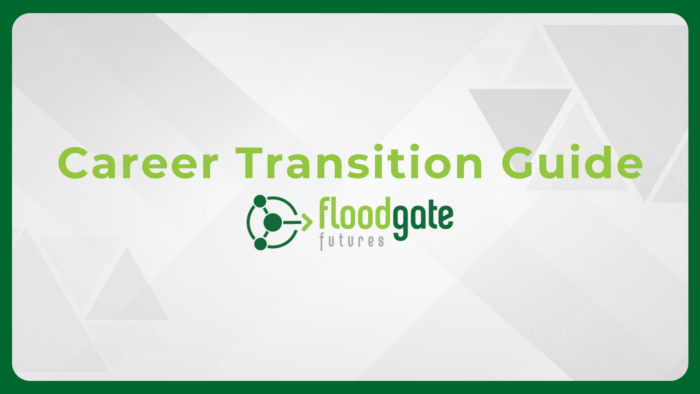 Career Transition Guide Downloadable