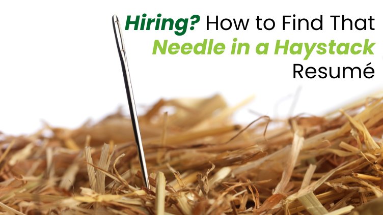 Hiring How to Find That Needle in a Haystack Resumé