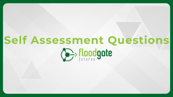 Self Assessment Questions Downloadable​